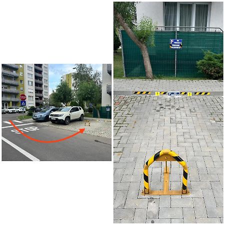 Newlevel Studio Braşov Eksteriør billede