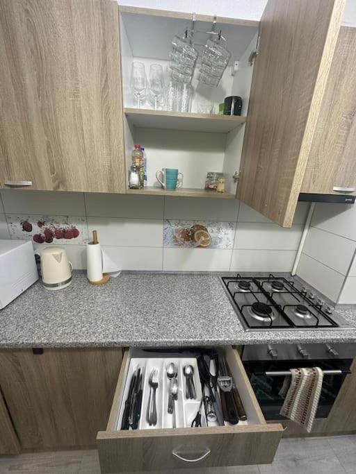 Newlevel Studio Braşov Eksteriør billede