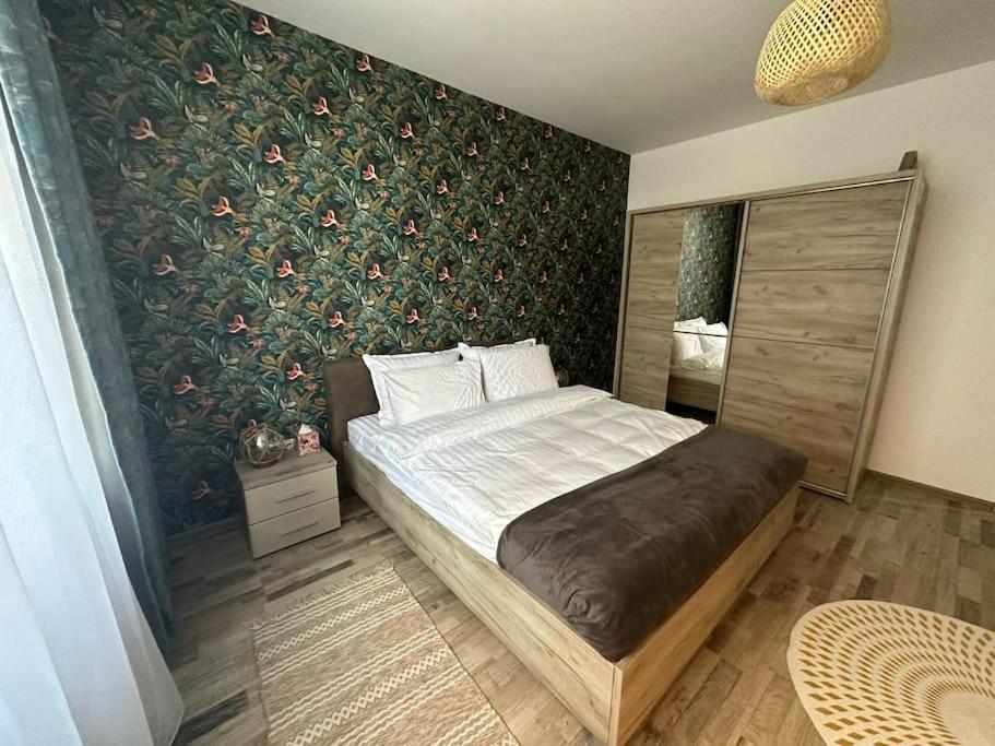 Newlevel Studio Braşov Eksteriør billede