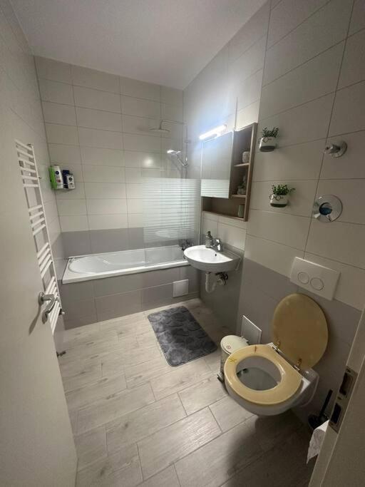 Newlevel Studio Braşov Eksteriør billede