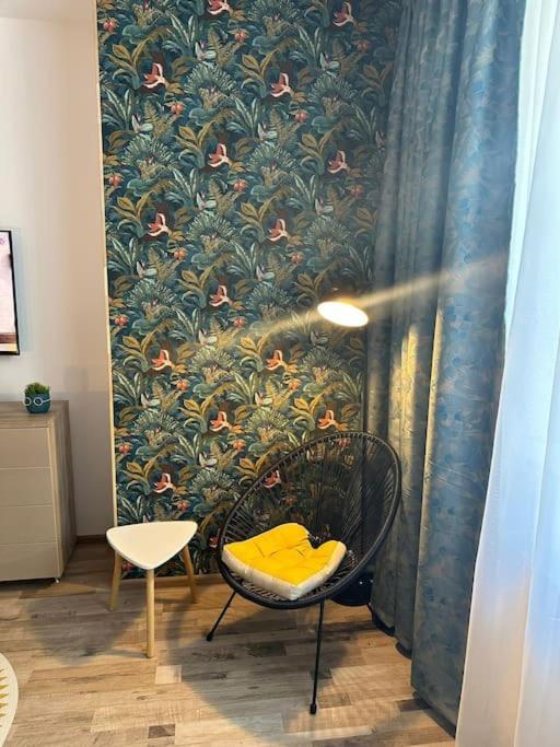 Newlevel Studio Braşov Eksteriør billede