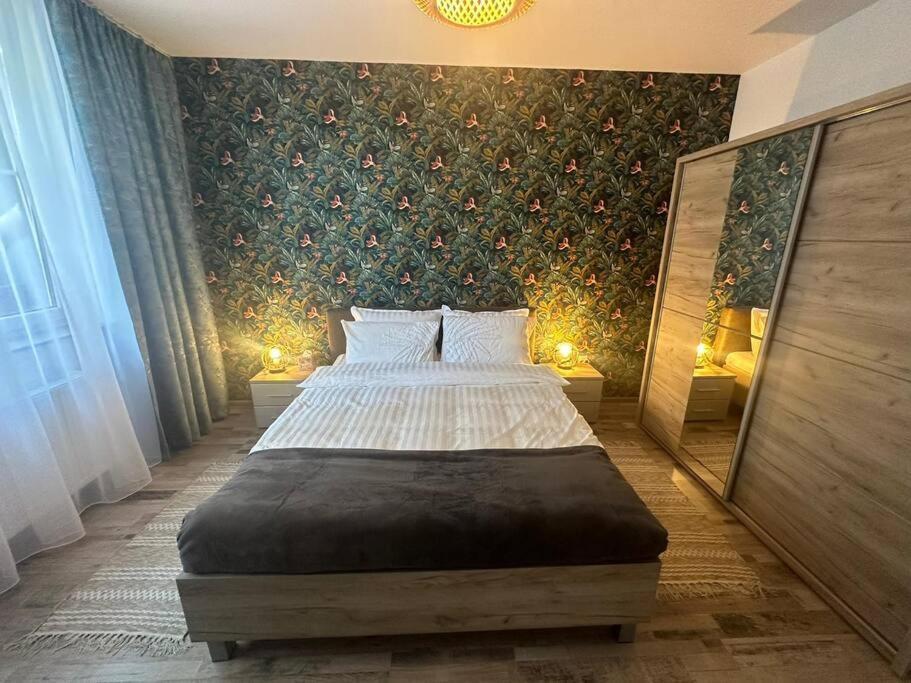 Newlevel Studio Braşov Eksteriør billede